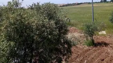 أرض في مادبا - الفيصلية  - 119,000 دأ - صورة NaN